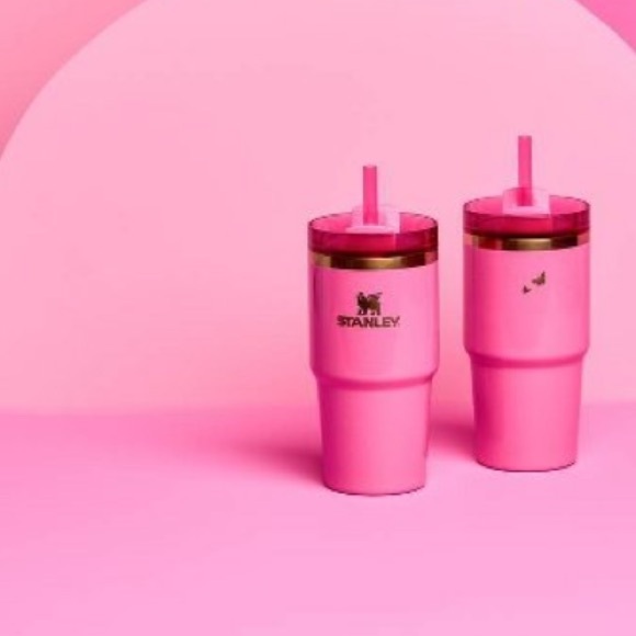 💖 *NEW* STANLEY X WICKED PRINCESS GLINDA 20oz QUENCHER TUMBLER - Picture 3 of 4